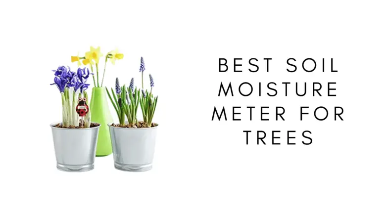 Best Soil Moisture Meter for Trees