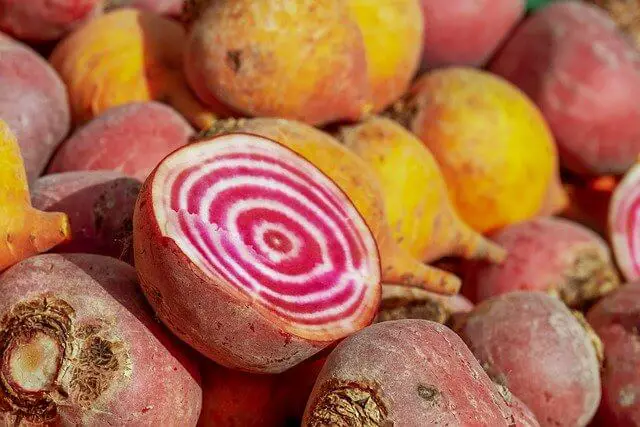 Growing Beets in a Raised Bed: Step By Step Guide