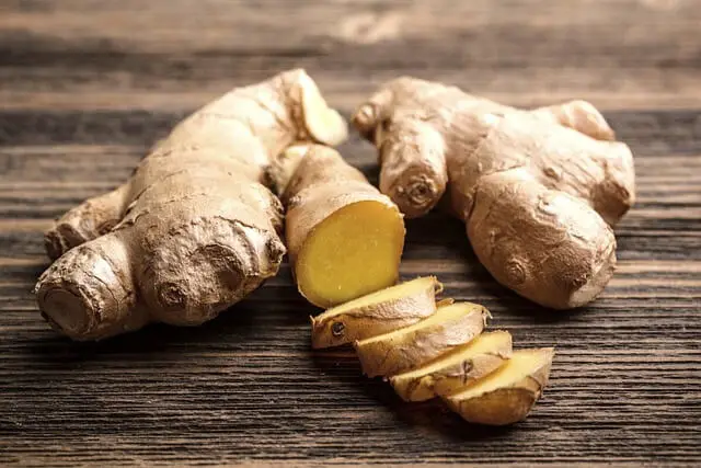Can You Plant Ginger Root From The Grocery Store? Now Answered