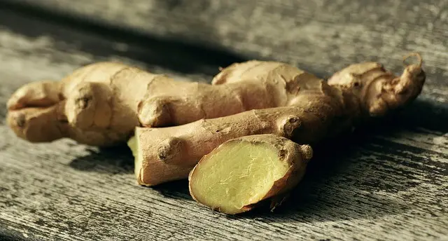 How To Plant Sprouted Ginger