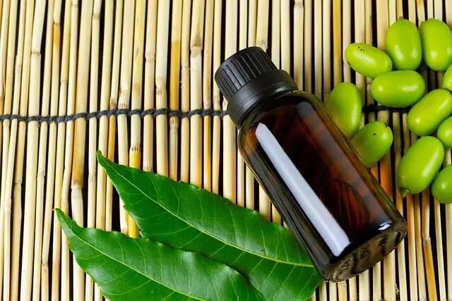 How To Use Neem Oil for Organic Gardening