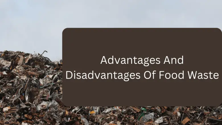 Advantages And Disadvantages Of Food Waste
