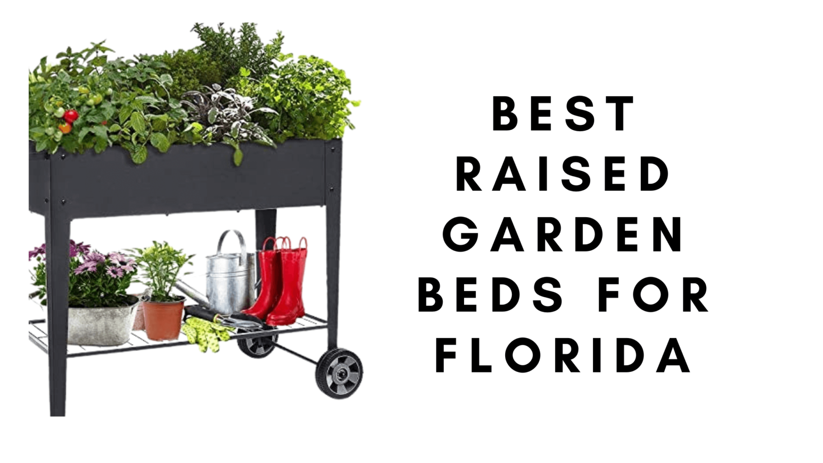 Best Raised Garden Beds For Florida gardener Learn Gardening