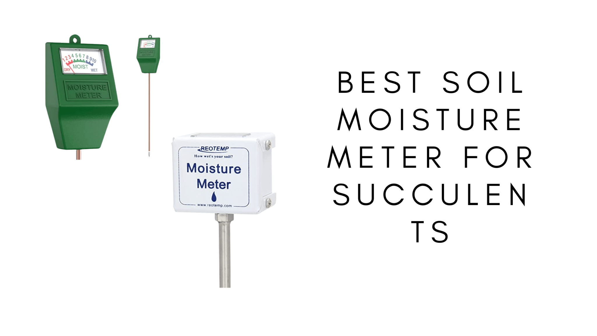 4 Best Soil Moisture Meters For Succulents Reviews And Buyer's Guide