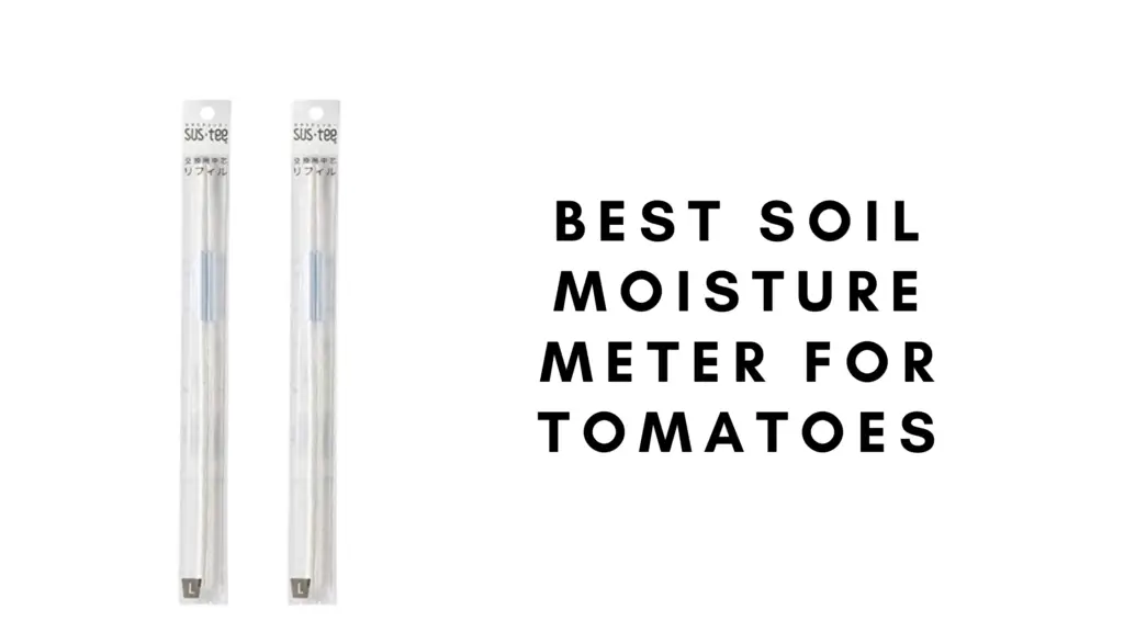 Best Soil Moisture Meter for Tomatoes