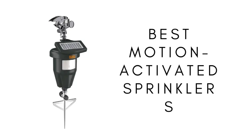 4 Best MotionActivated Sprinklers