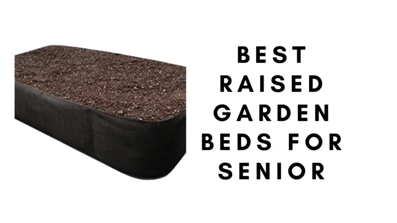 4 Best Raised Garden Beds for Senior