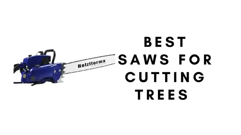 Best Saws For Cutting Trees