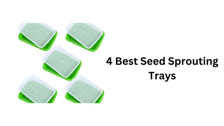 The 4 Best Seed Sprouting Trays