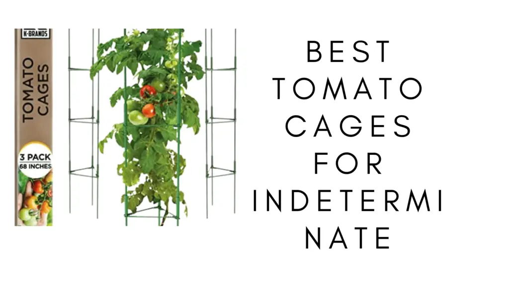 5 Best Tomato Cages for Indeterminate