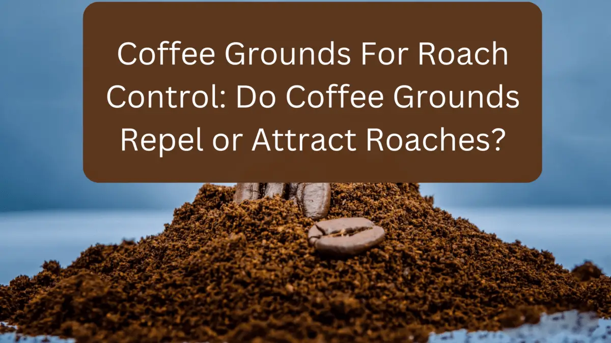 Do Peppers Like Coffee Grounds? Step By Step Answer gardener Learn Gardening, Composting