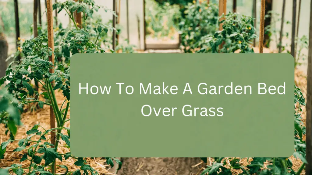 How To Make A Garden Bed Over Grass