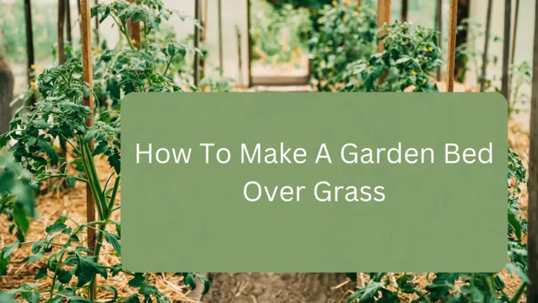 How To Make A Garden Bed Over Grass