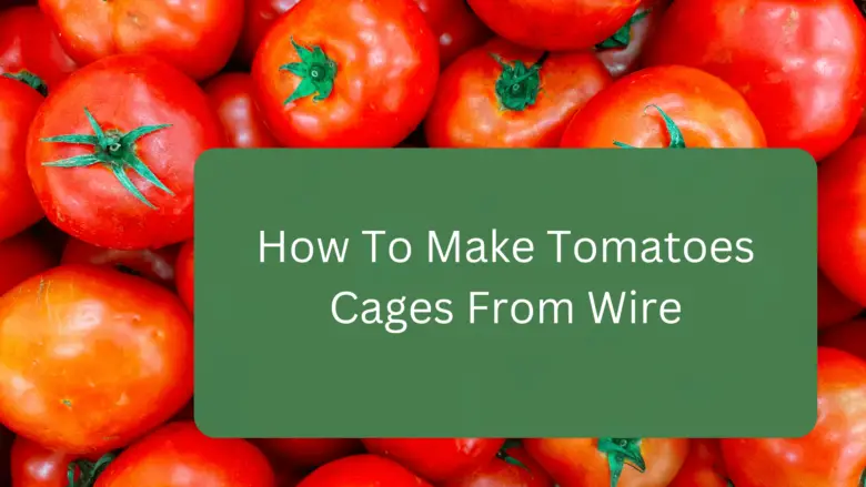 How To Make Tomatoes Cages From Wire