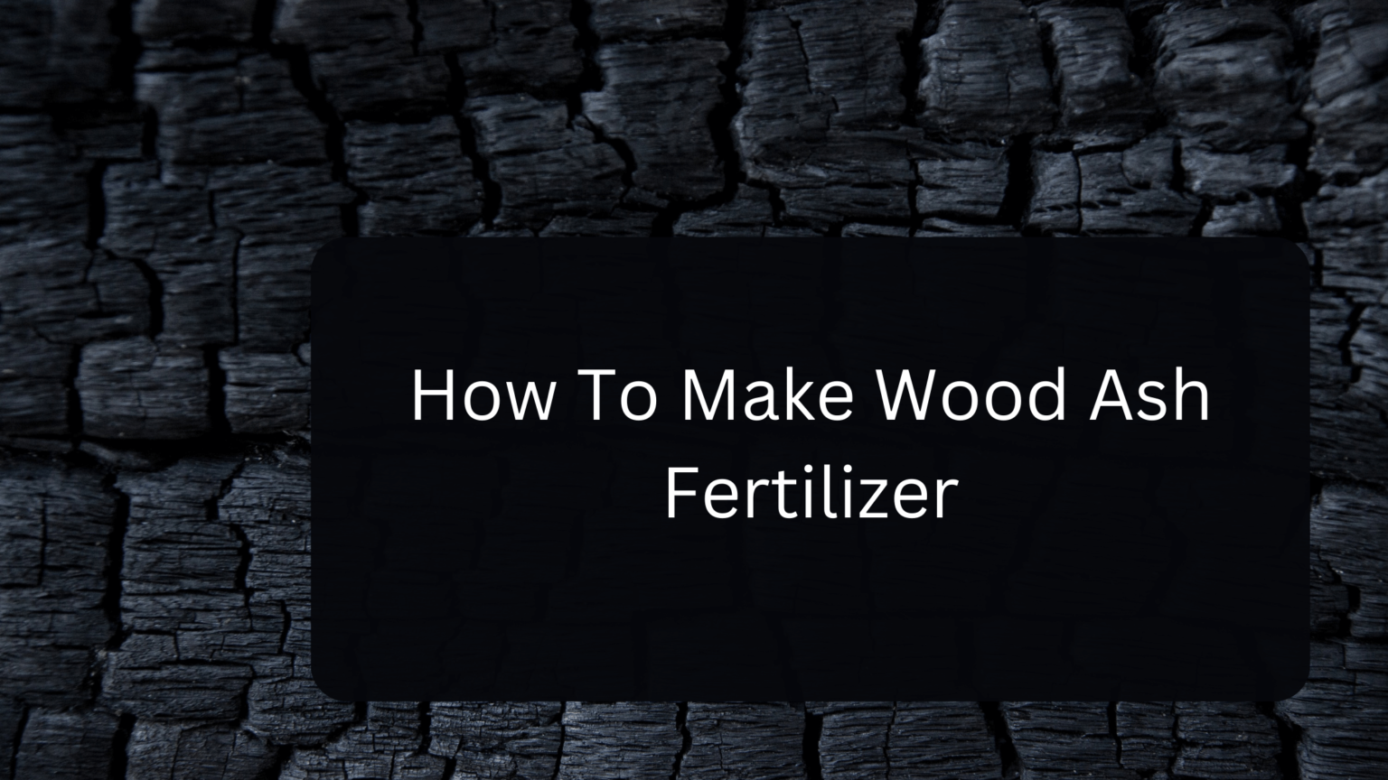 How To Make Wood Ash Fertilizer Webgardener Learn Gardening