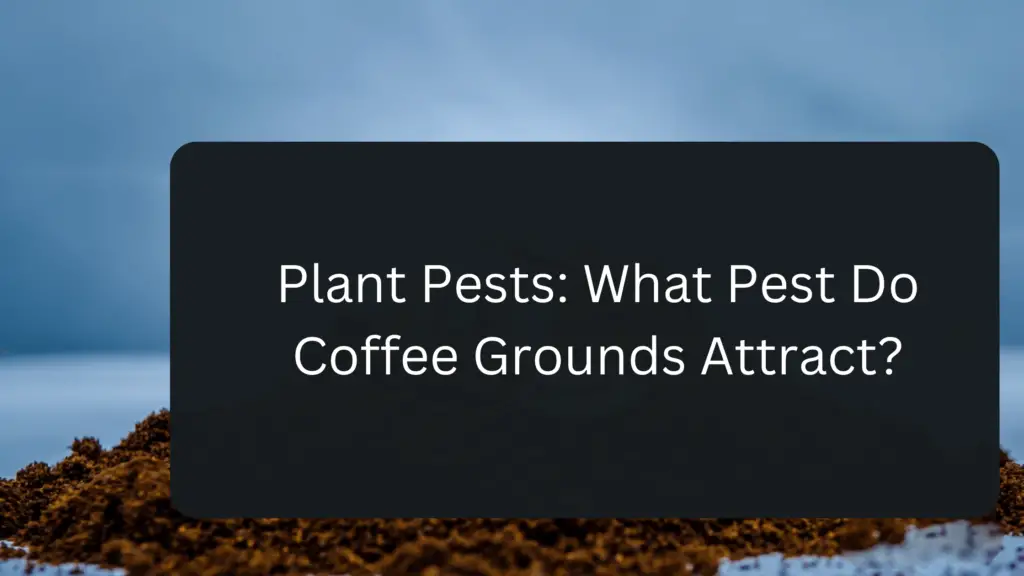 How to Keep Bugs off Brussel Sprouts gardener Learn Gardening