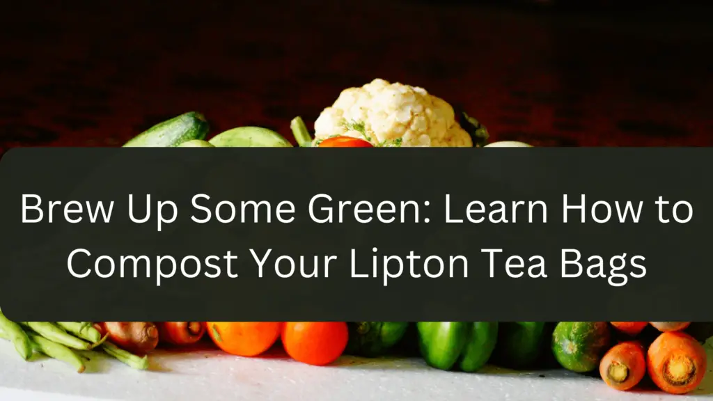 15 Best Vegetables To Grow In Wet Soil gardener Learn Gardening