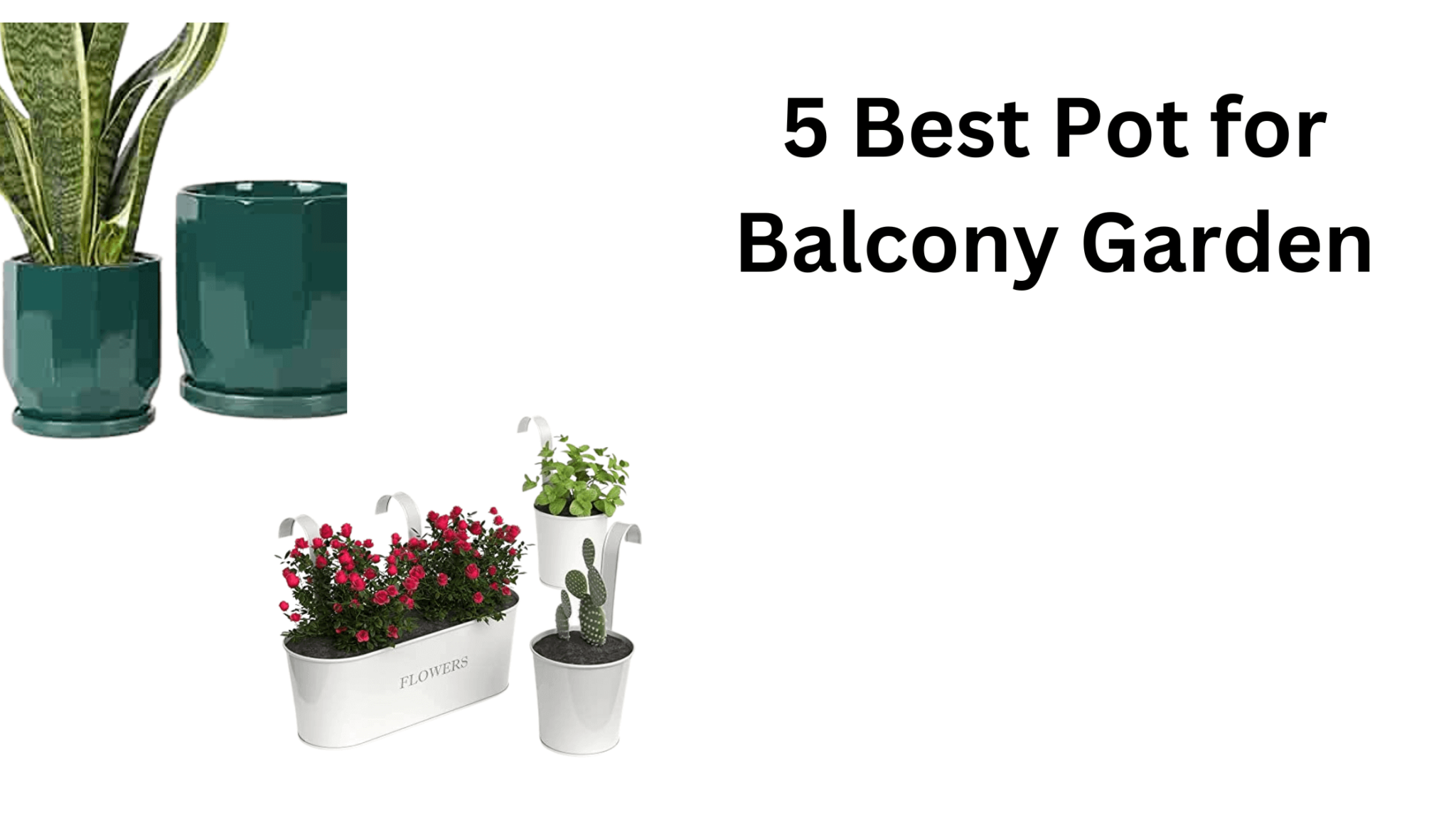 5 Pots Perfect for Your Balcony Garden Transform Your Outdoor Space Today! gardener