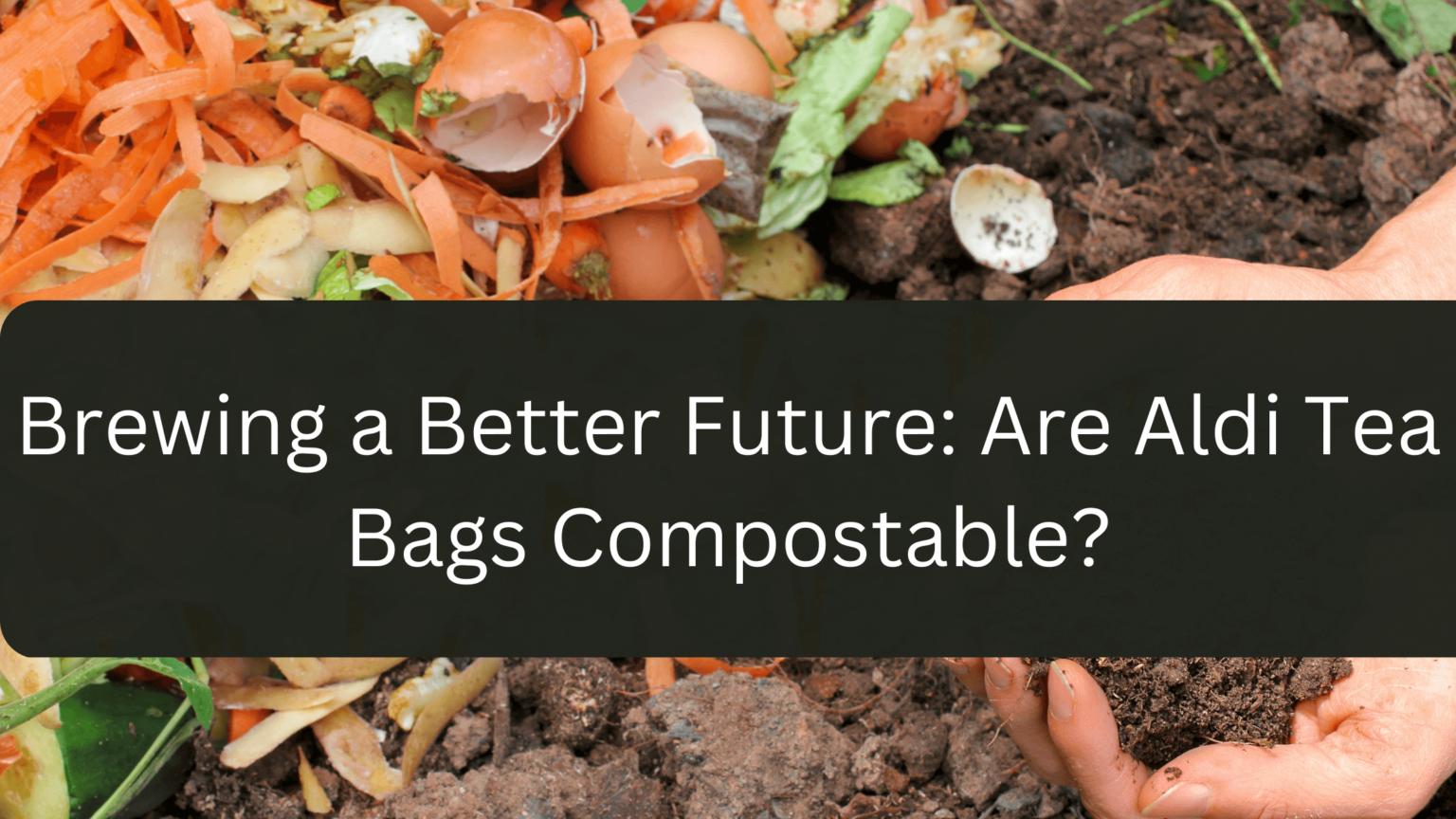 Brewing a Better Future Are Aldi Tea Bags Compostable? gardener
