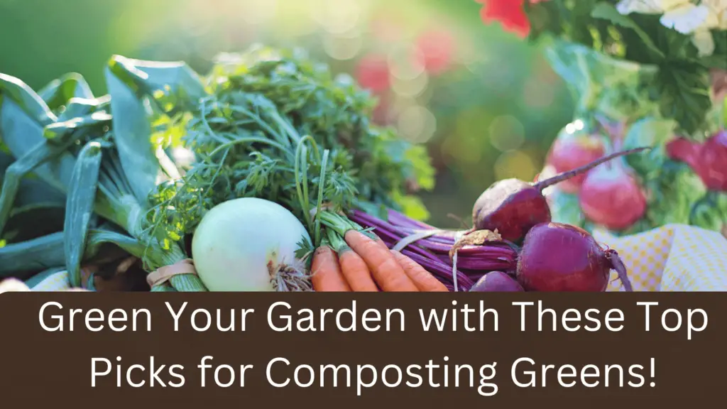 15 Best Vegetables To Grow In Wet Soil gardener Learn Gardening