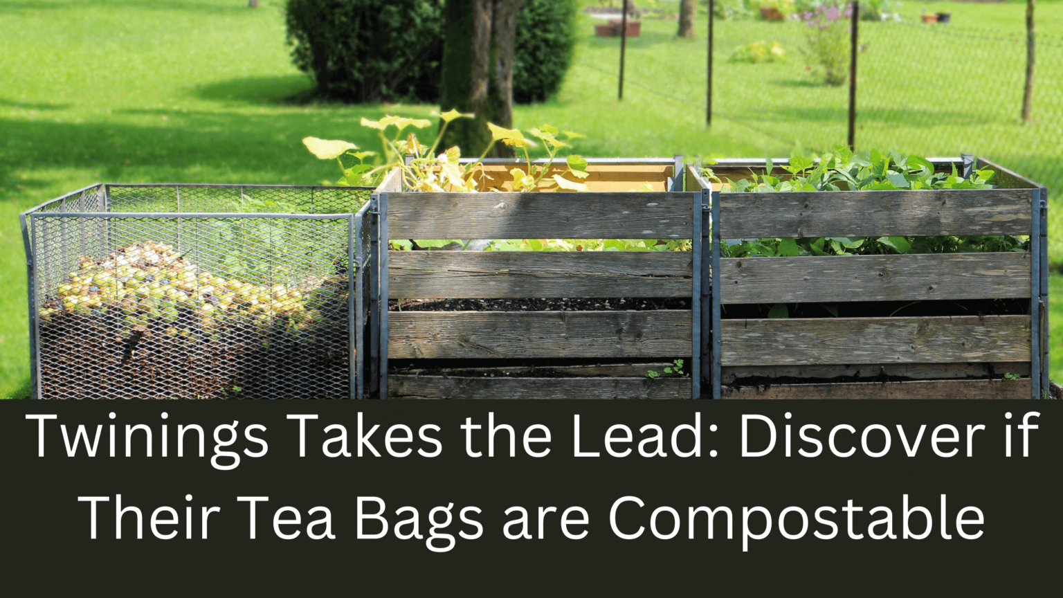 How to Compost Horse Manure Fast gardener Learn Gardening