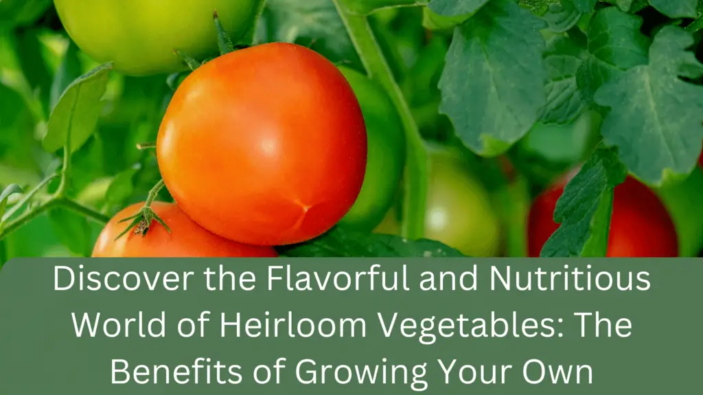 15 Best Vegetables To Grow In Wet Soil gardener Learn Gardening