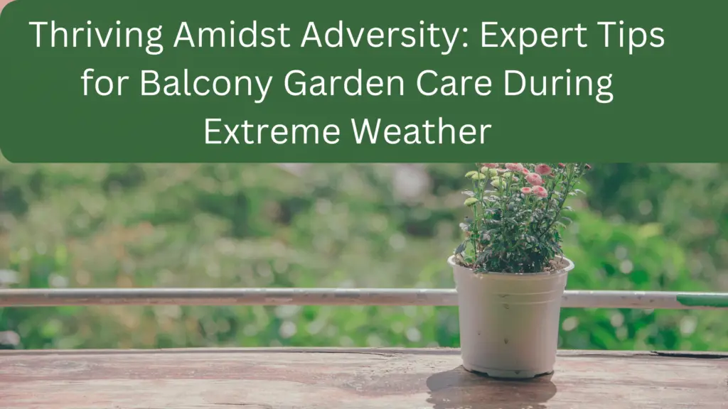 5 Things Plants Need To Grow (Step By Step Guide) gardener Learn Gardening, Composting