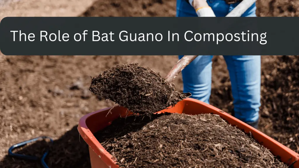 How To Compost Goat Manure gardener Learn Gardening, Composting