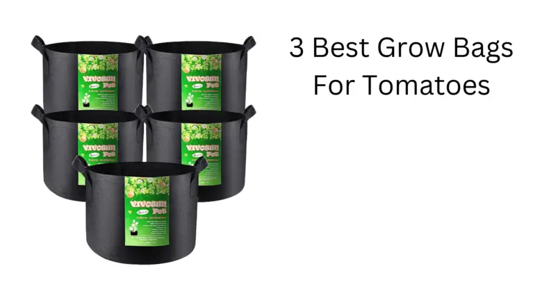 3 Best Grow Bags For Tomatoes