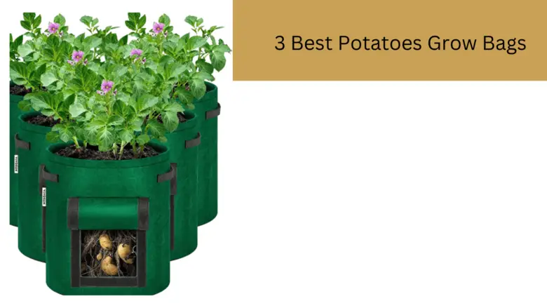 3 Best Potatoes Grow Bags