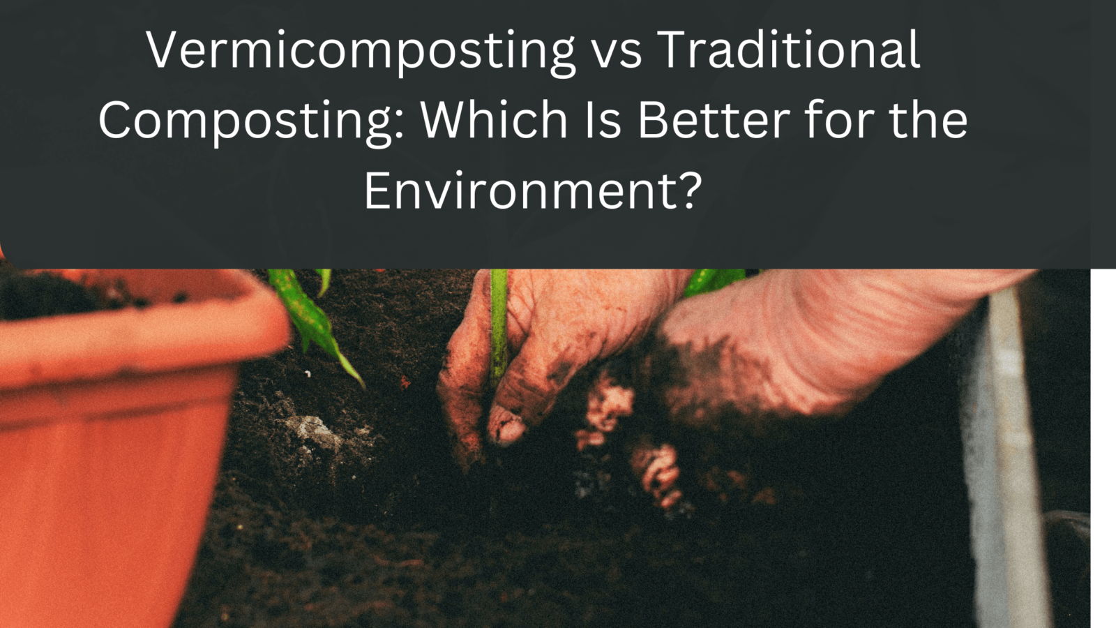 In Urban Areas Innovative Solutions for Small Spaces