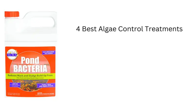 4 Best Algae Control Treatments