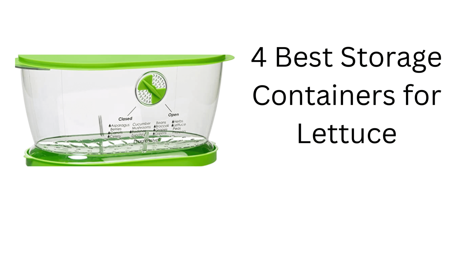 4 Best Storage Containers for Lettuce gardener Learn Gardening
