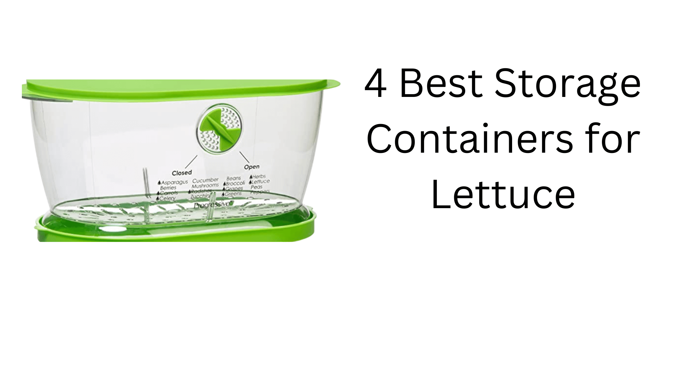 https://www.webgardner.com/wp-content/uploads/2023/04/Best-Storage-Containers-for-Lettuce-1.png