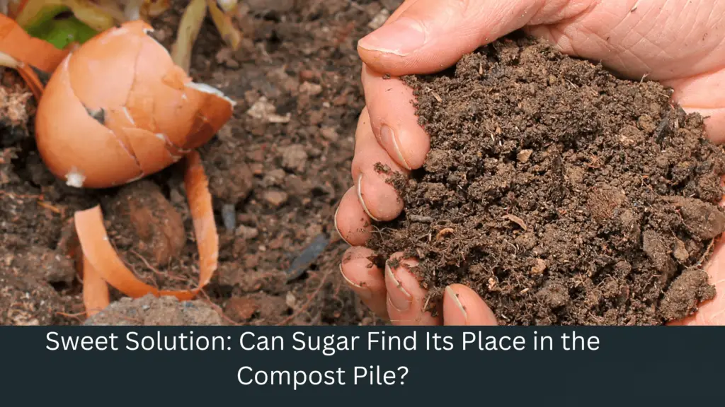 Can You Compost Sugar? Now Answered