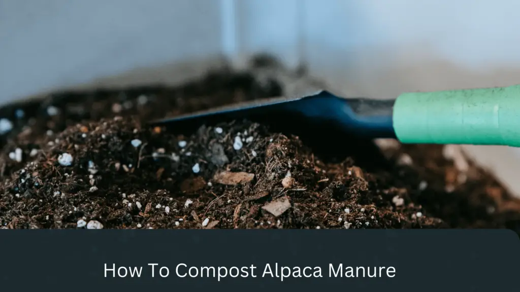 How To Compost Alpaca Manure