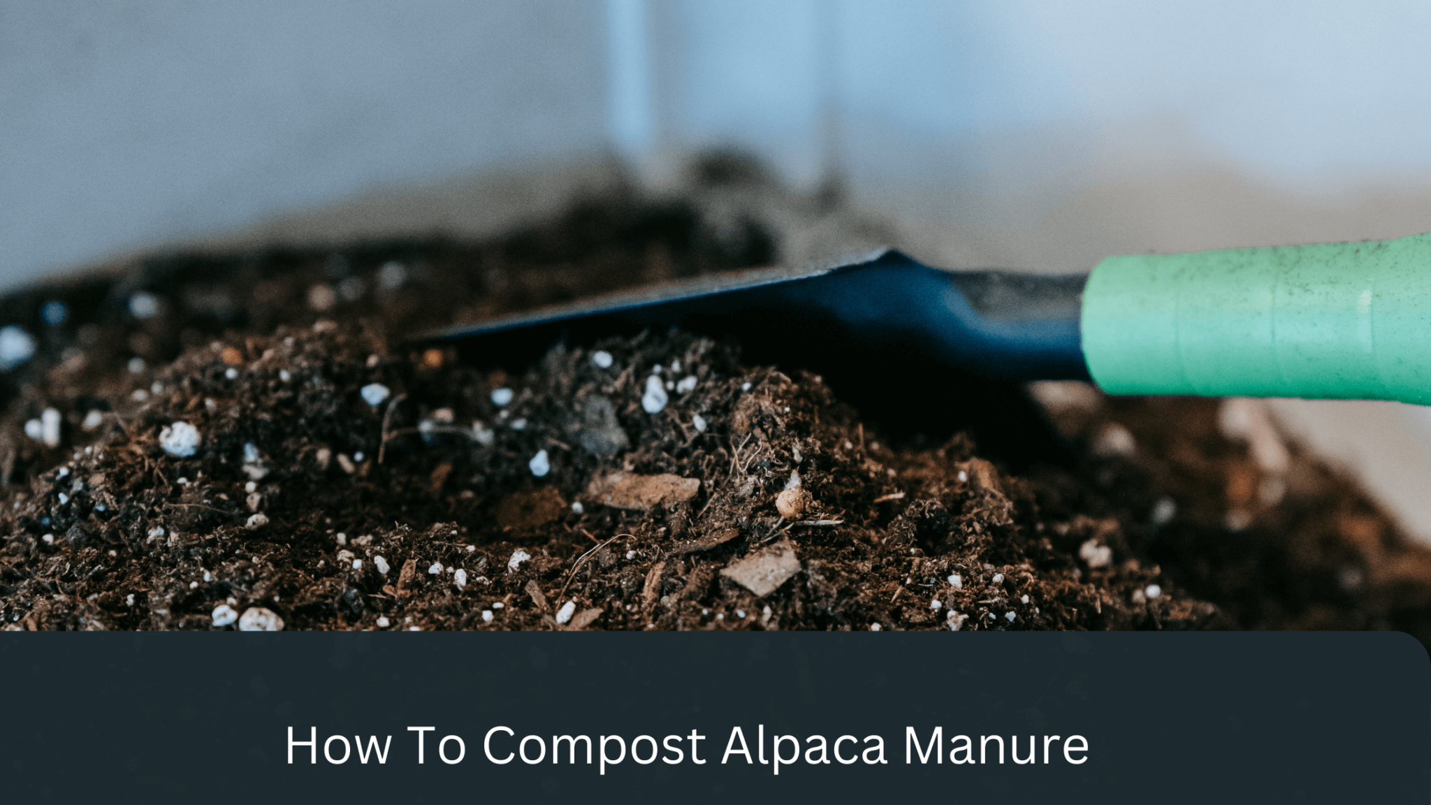 How To Compost Alpaca Manure gardener Learn Gardening