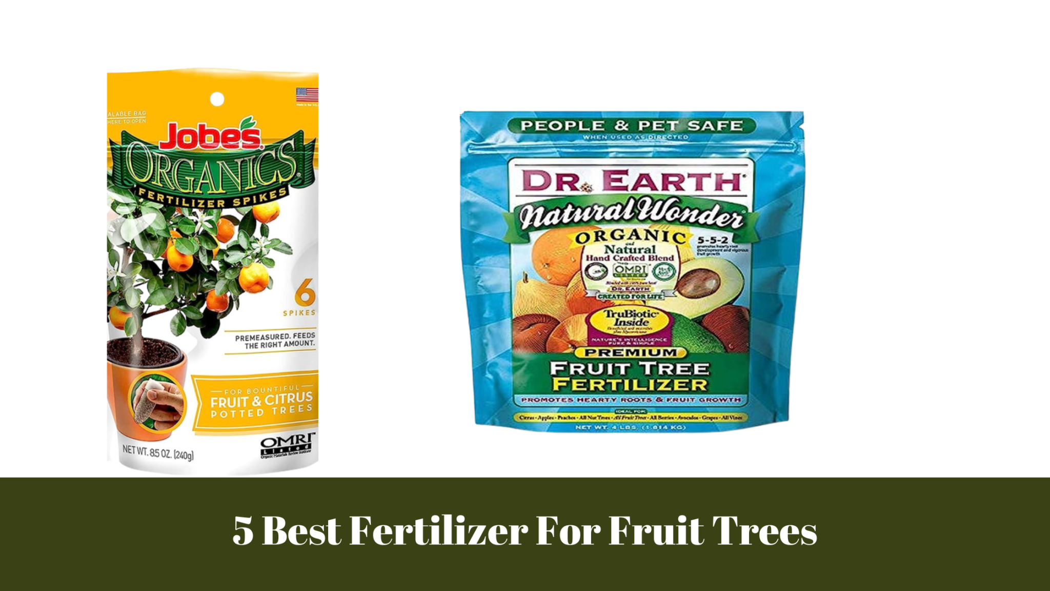 5 Best Fertilizer For Fruit Trees gardener Learn Gardening
