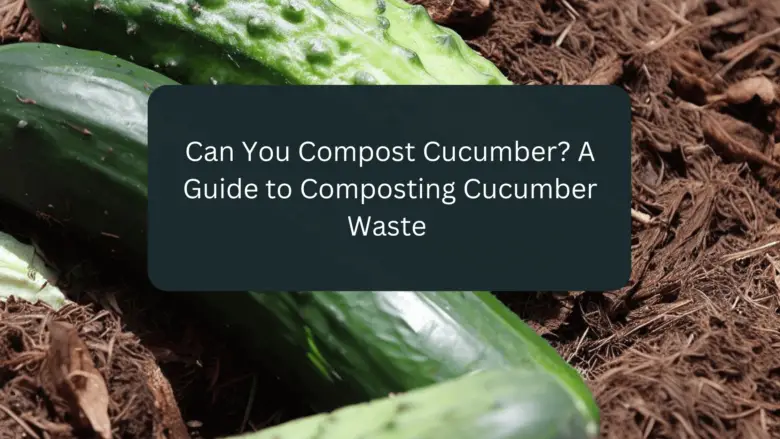 Can You Compost Cucumber? A Guide to Composting Cucumber Waste
