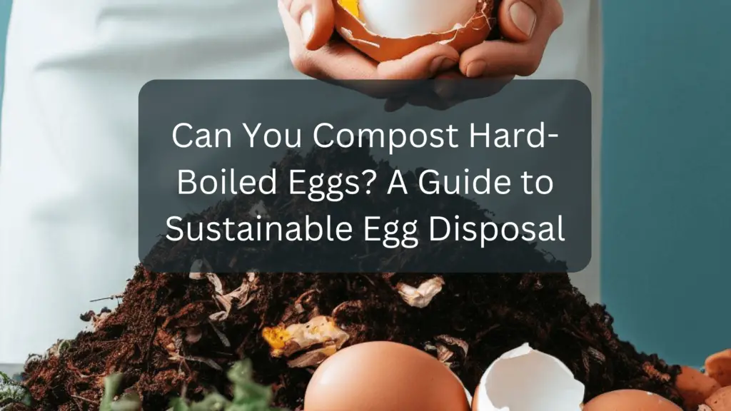 Can You Compost HardBoiled Eggs? A Guide to Sustainable Egg Disposal