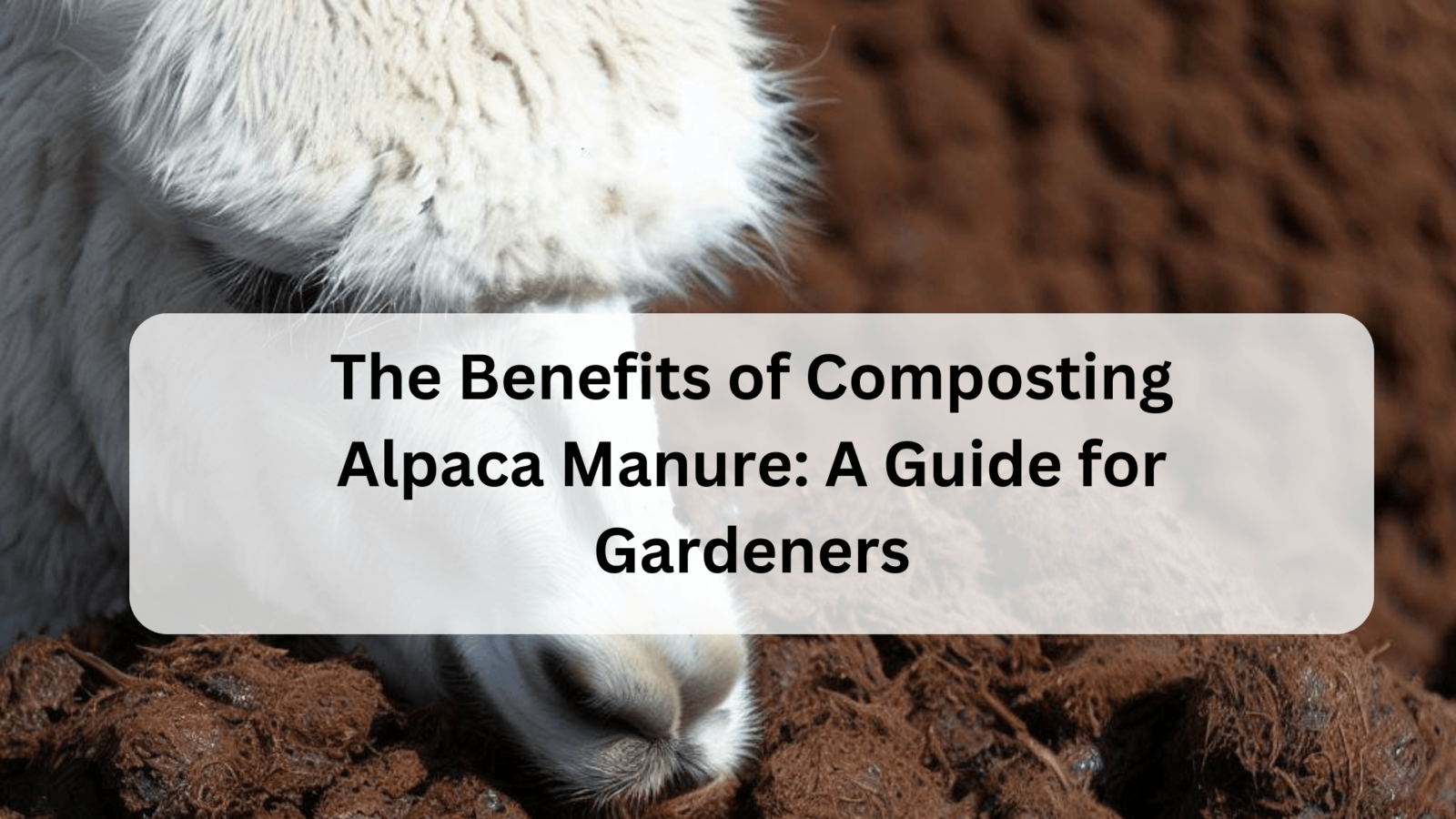 Adding Worms To Compost Do I Need To Add Worms To my Compost Pile