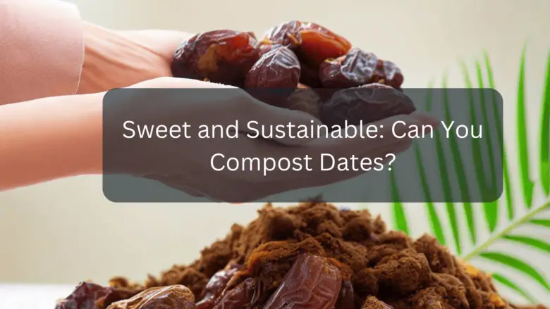 Sweet and Sustainable: Can You Compost Dates?