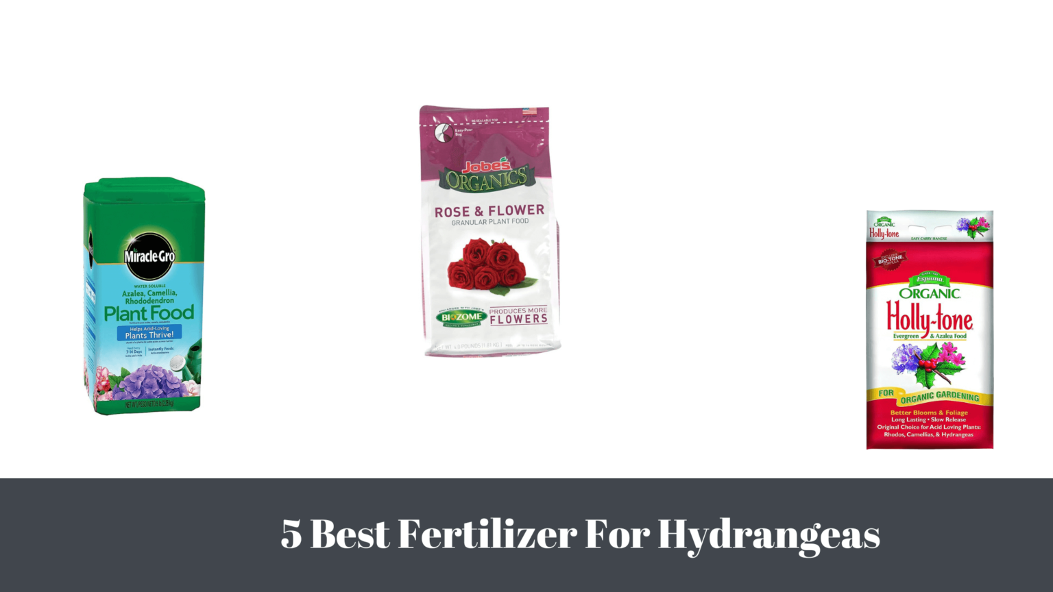 5 Best Fertilizers For Hydrangeas Webgardener Learn Gardening