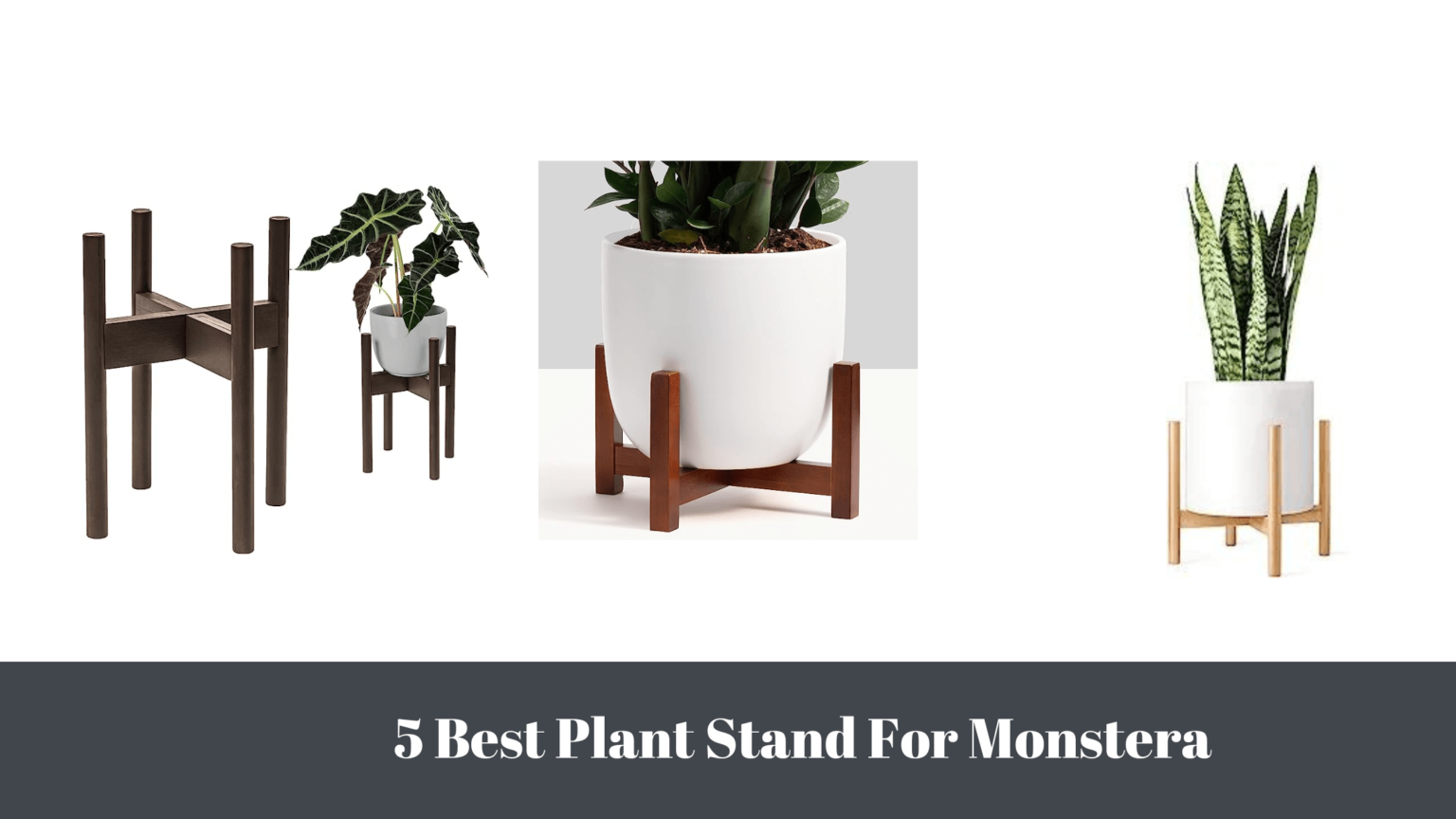 5 Best Inflatable Hot Tubs For Tall Person gardener Learn