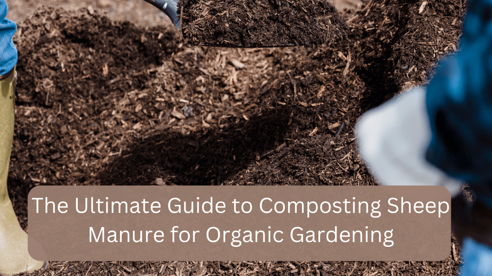 Comfine What Is Garden Goodies Sheep Manure? – YOCP