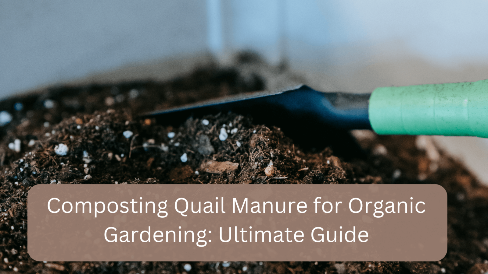 Can You Compost Butter? A Guide to Sustainable Food Waste Management