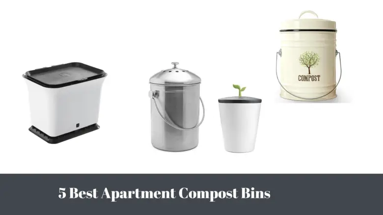 5 Best Apartment Compost Bins
