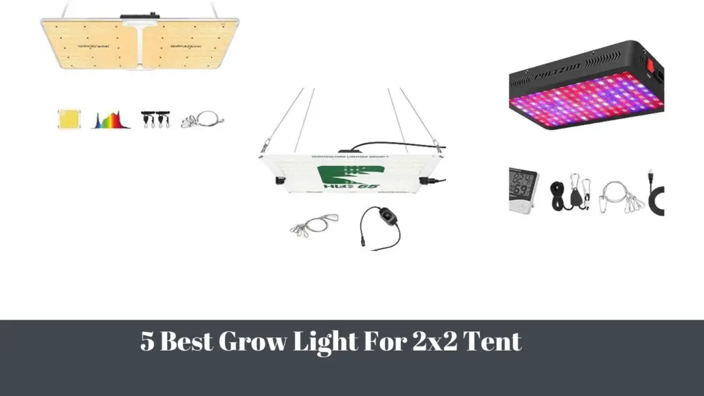 5 Best Grow Light For 2x2 Tent