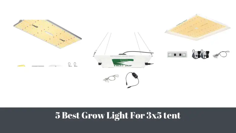 5 Best Grow Light For 3x5 tent