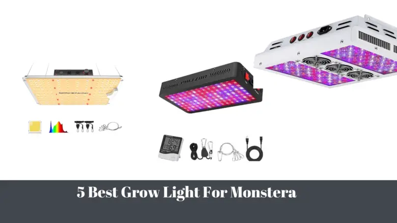 5 Best Grow Light For Monstera